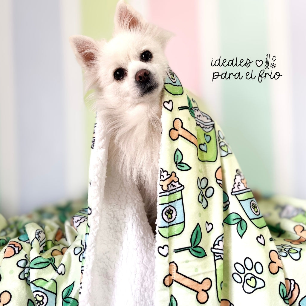 Manta Doggymatcha