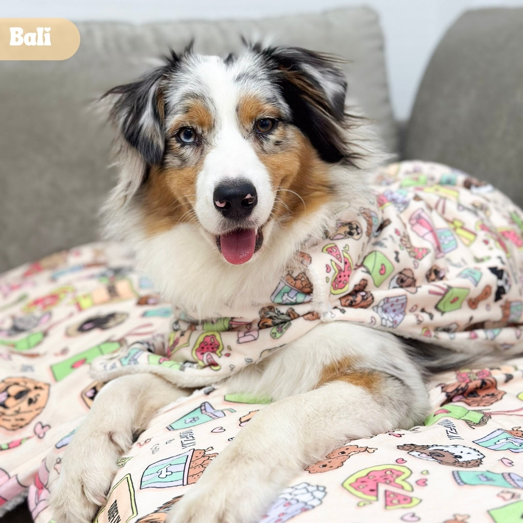 Manta Dogflix And Chill