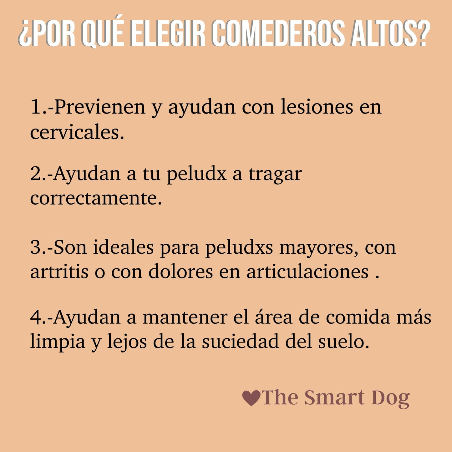 Comedero Alto Peanut Butter